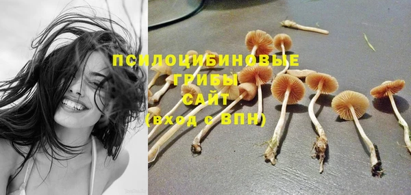 скорость mdpv Вяземский