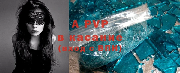 гашик Вязьма